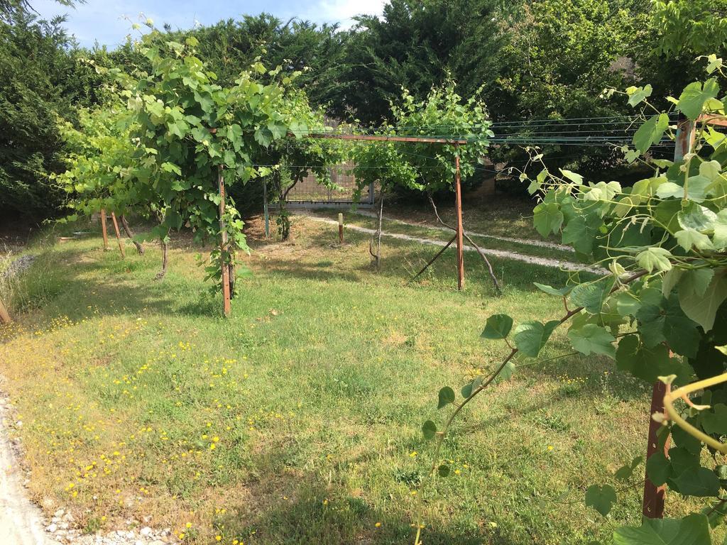 San Vitale Assisi Villa Randr מראה חיצוני תמונה
